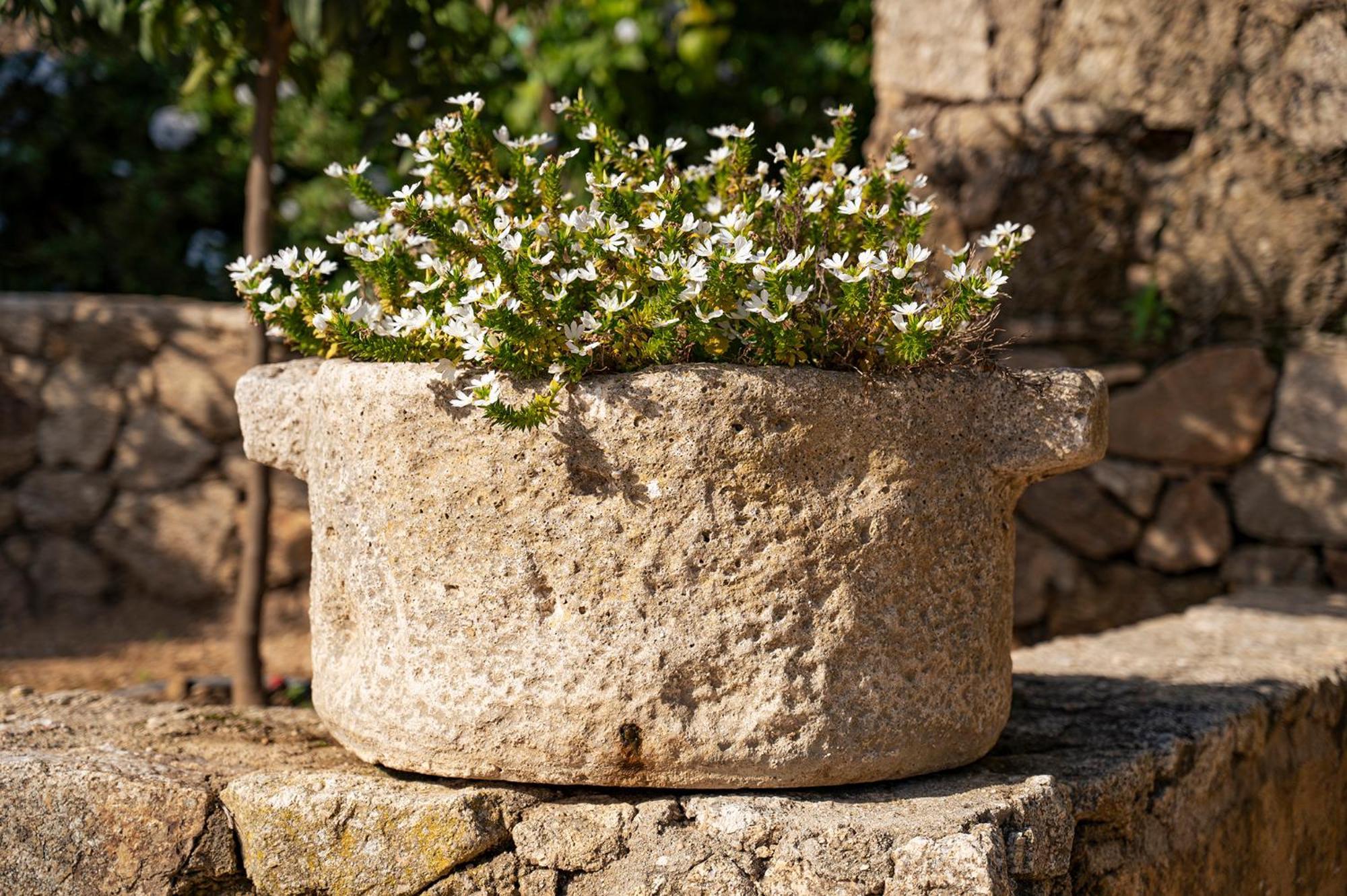 Le Clos De Mansart Grimaud Exterior photo