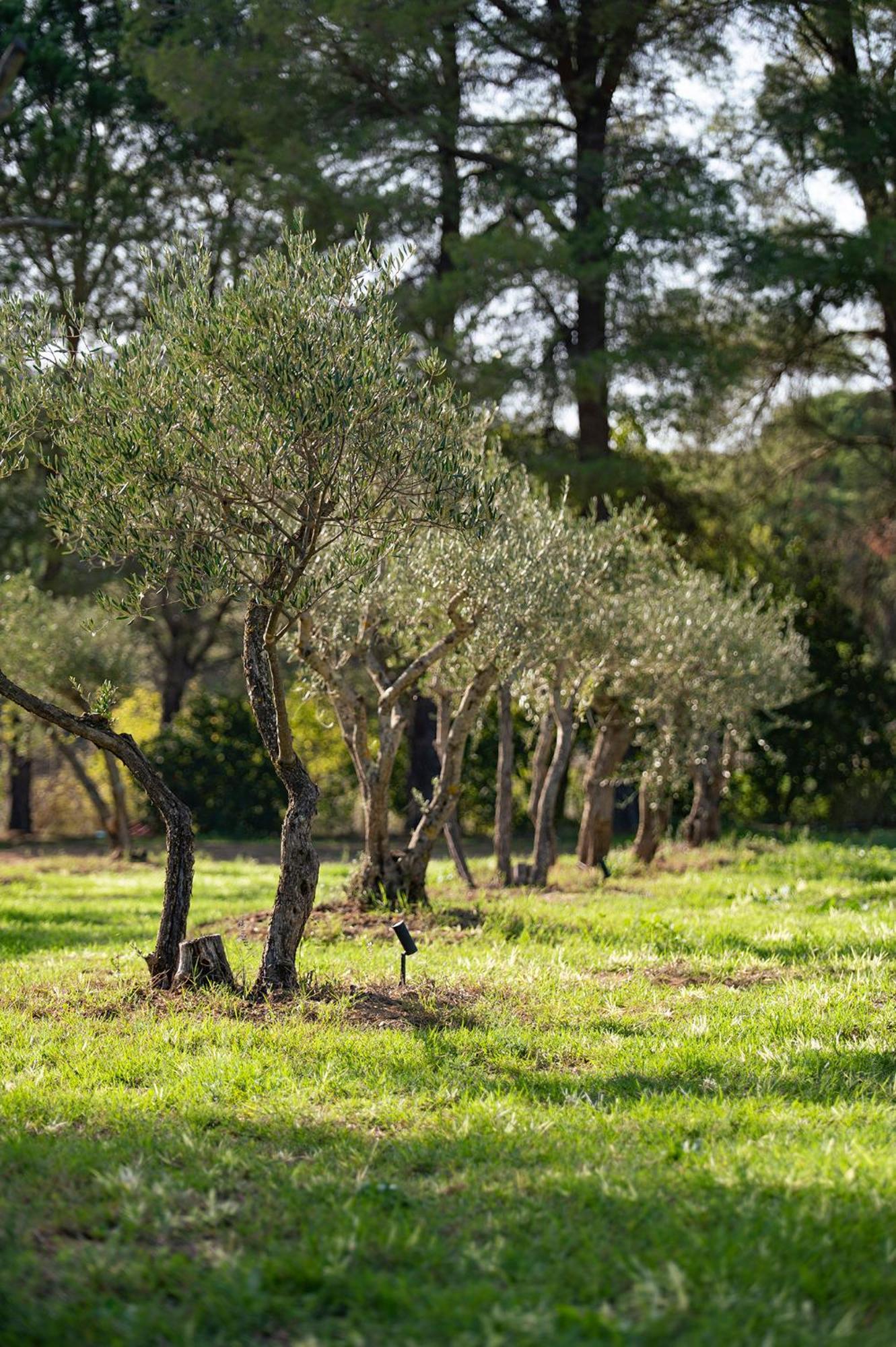 Le Clos De Mansart Grimaud Exterior photo